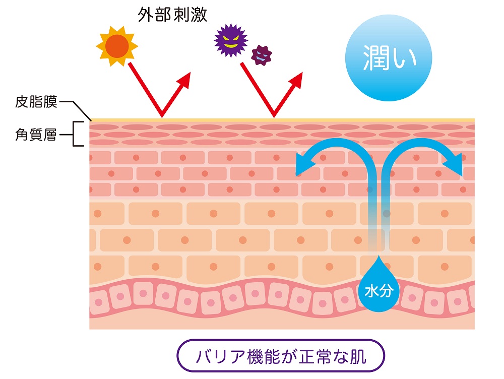 5ヶ月で脇の黒ずみを解消した方法 保湿をしても色素沈着が薄くならない方へ 株式会社afrevi アフレビ