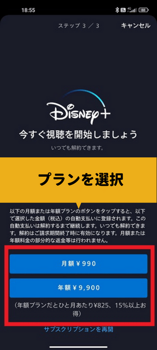 ディズニープラスにバンドルカードで登録する方法2　プランを選ぶ