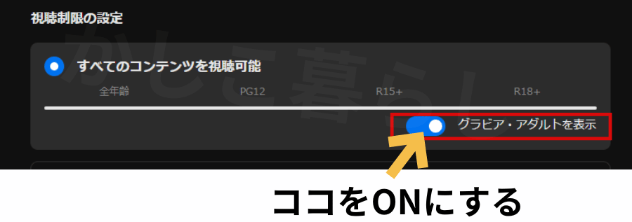 DMM TVのプロフィールの視聴制限でグラビア・アダルト表示のトグルをONにした画像