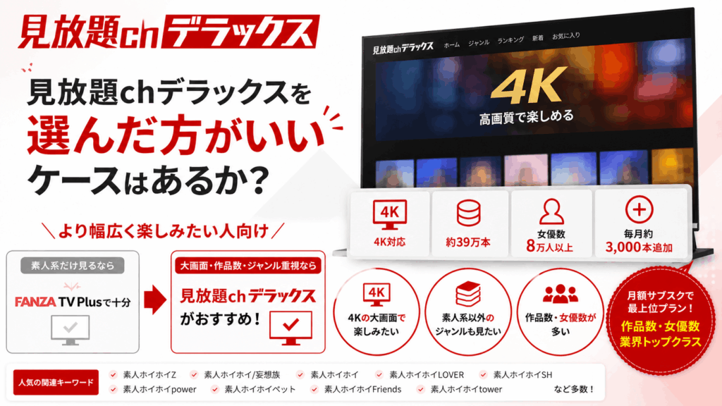 見放題chデラックスを選んだいいひとをサービスの特徴をまとめた画像