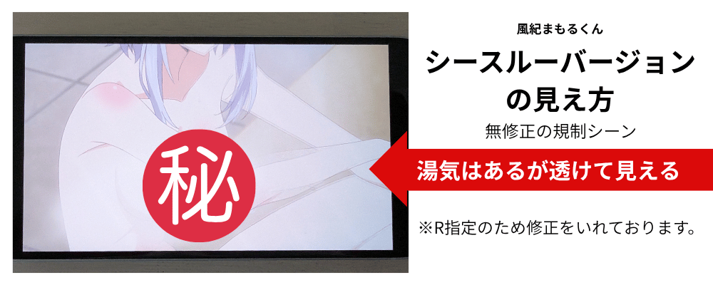 女神寮の寮母くんは風紀まもるくんシースルーバージョンの修正具合をわかりやすくアップにした画像。年齢指定のため、修正をいれてます。